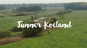 junner koeland